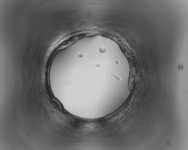 X0000095520344200801111441