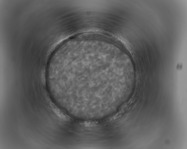 X0000095520345200801111441