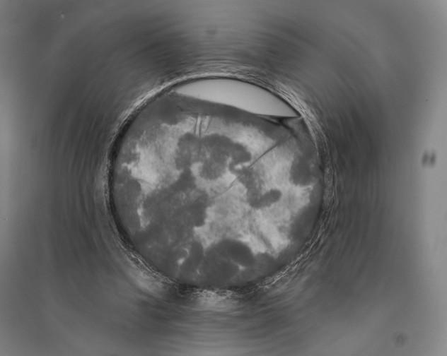 X0000095520346200801111441