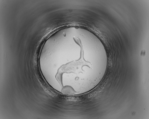 X0000095520347200801111441