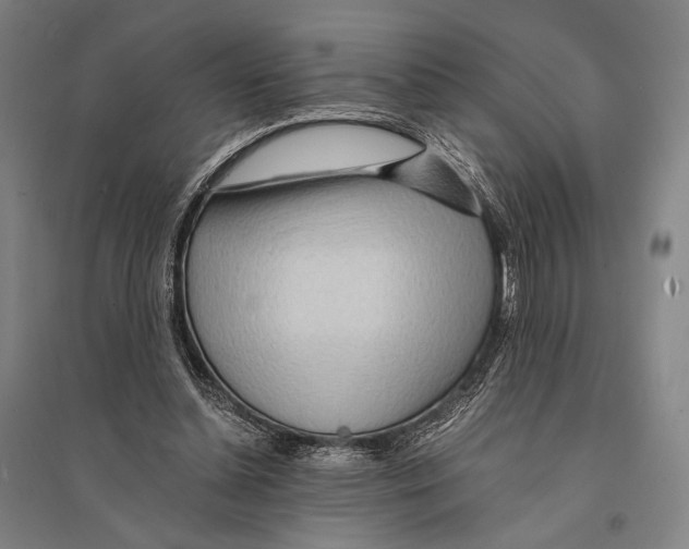 X0000095520348200801111441