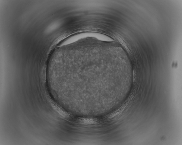 X0000095520349200801111441