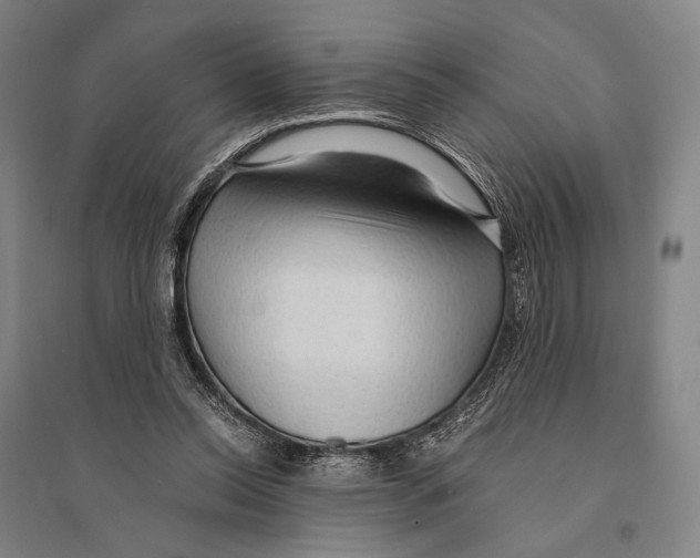 X0000095520350200801111441