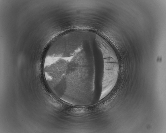 X0000095520351200801111441