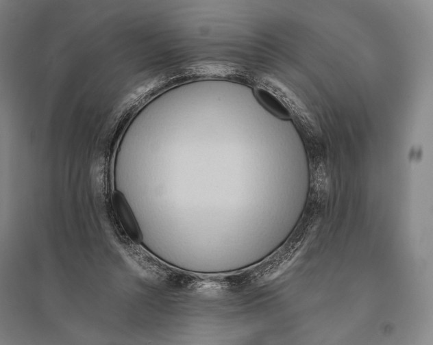 X0000095520352200801111441