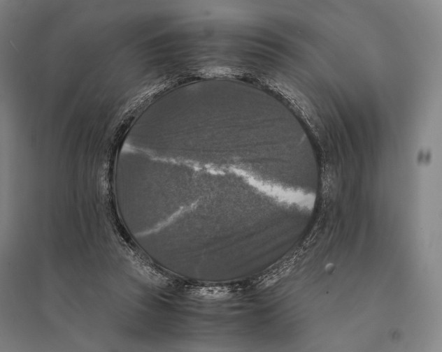 X0000095520353200801111441