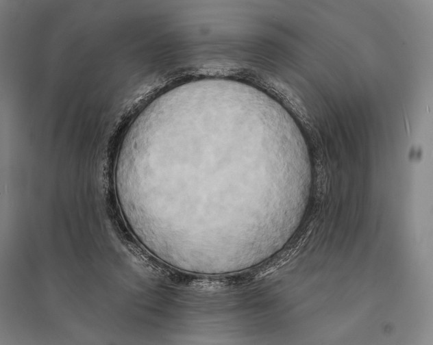 X0000095520354200801111441