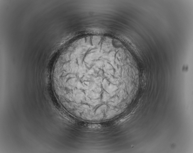 X0000095520355200801111441