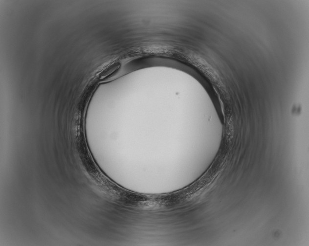 X0000095520356200801111441