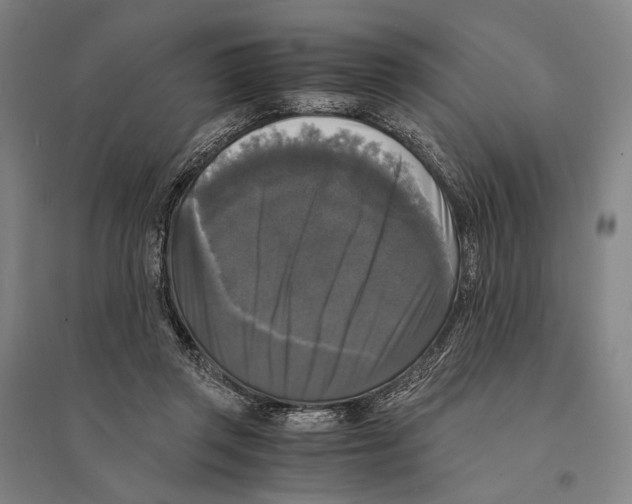 X0000095520357200801111441