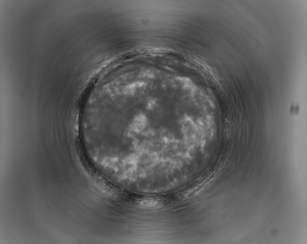 X0000095520358200801111441