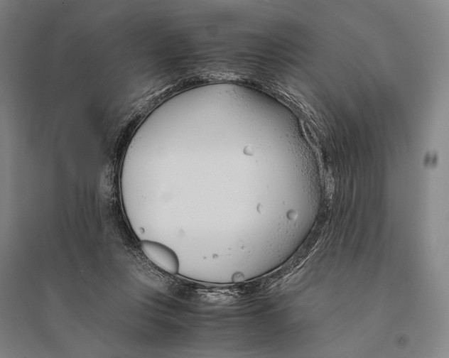 X0000095520359200801111441