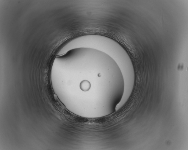 X0000095520360200801111441