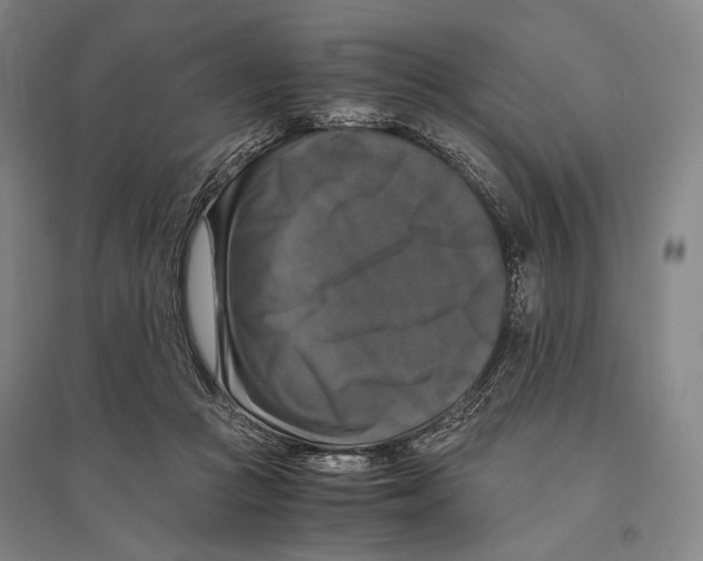 X0000095520361200801111441