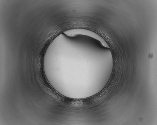 X0000095520362200801111441