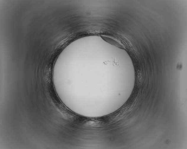 X0000095520364200801111441