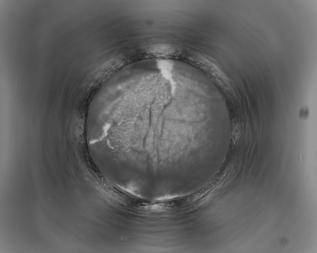 X0000095520365200801111441