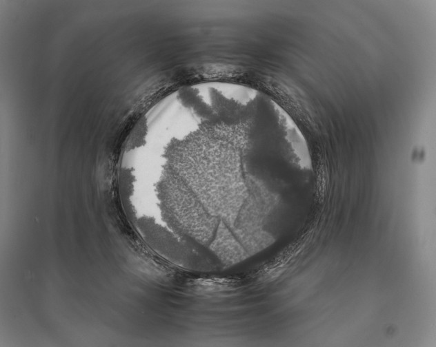 X0000095520367200801111441