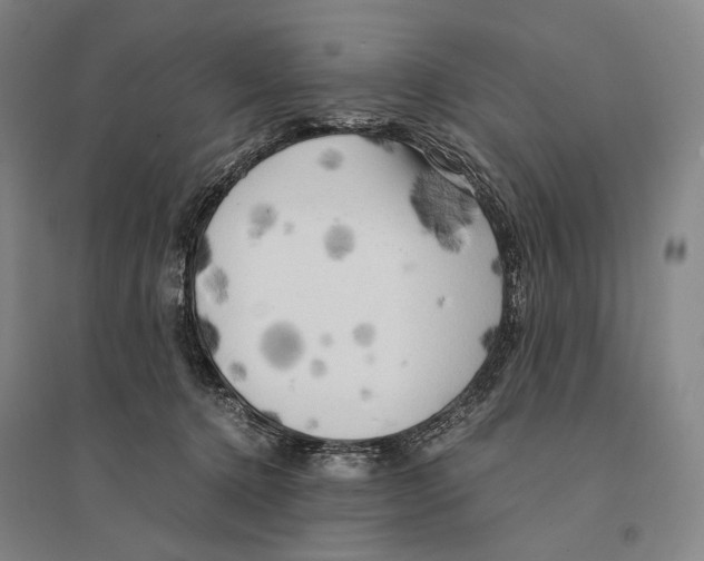 X0000095520368200801111441