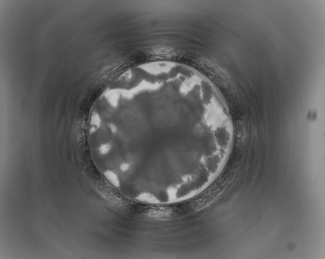 X0000095520369200801111441