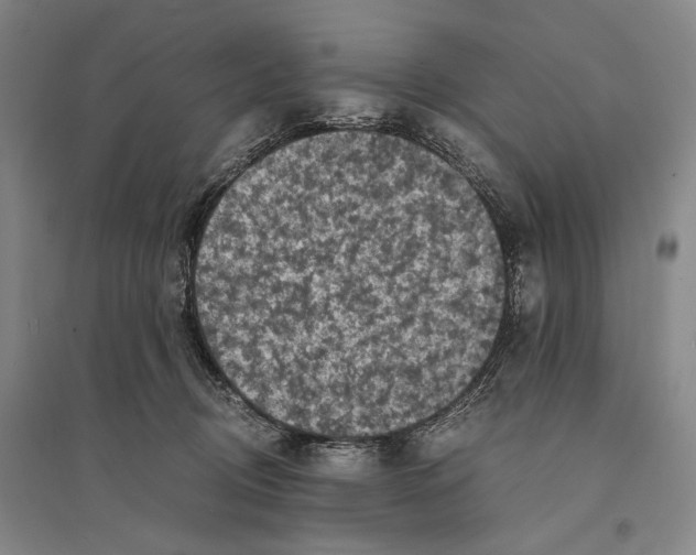 X0000095520370200801111441