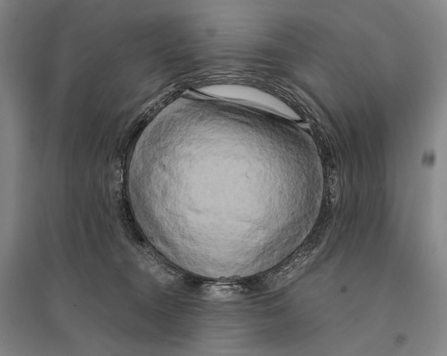 X0000095520372200801111442