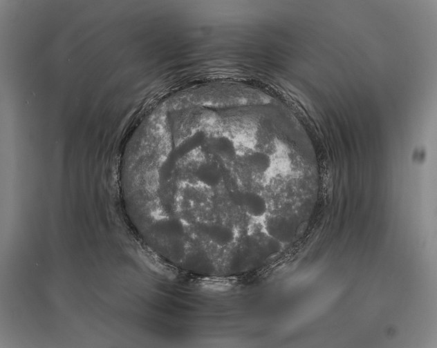X0000095520373200801111442