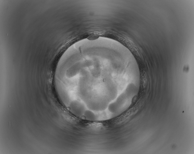 X0000095520374200801111442