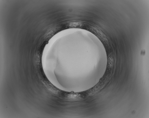 X0000095520375200801111442