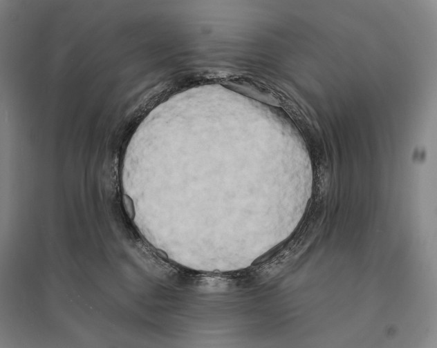 X0000095520376200801111442