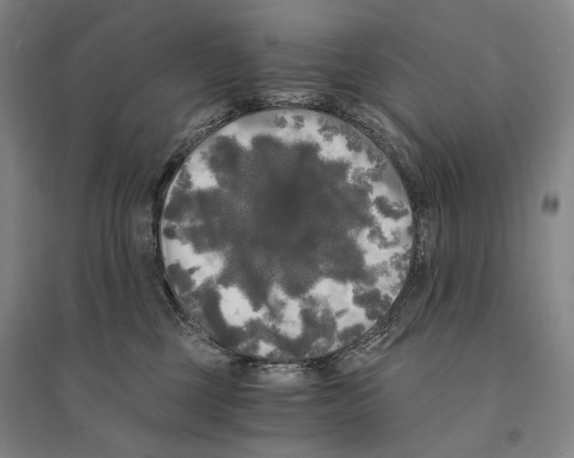 X0000095520377200801111442