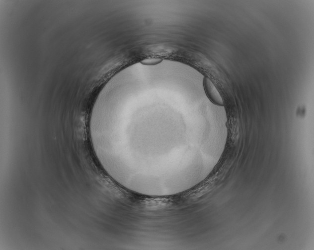 X0000095520378200801111442
