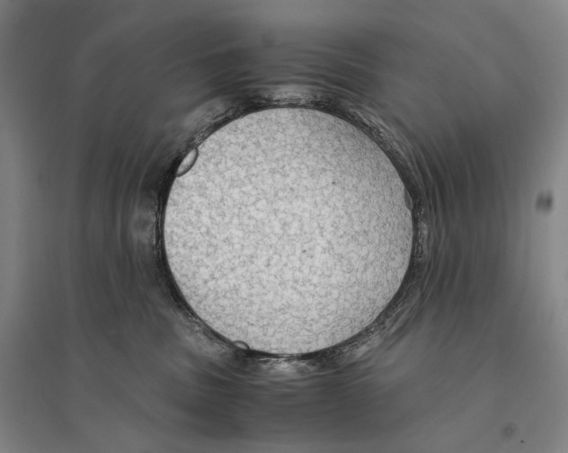 X0000095520379200801111442