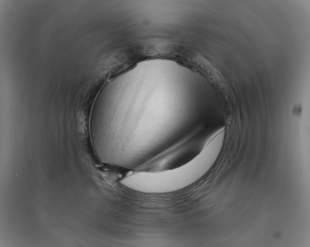 X0000095520380200801111442