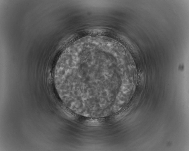 X0000095520381200801111442