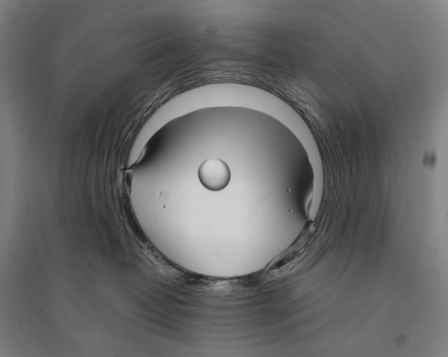 X0000095520382200801111442