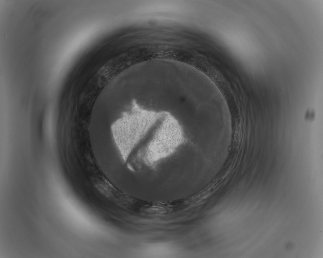 X0000095520383200801111442
