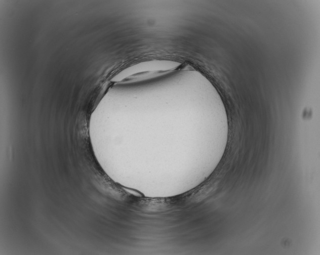 X0000095520384200801111442
