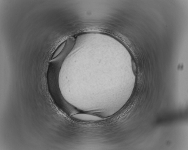 X0000095520385200801111441