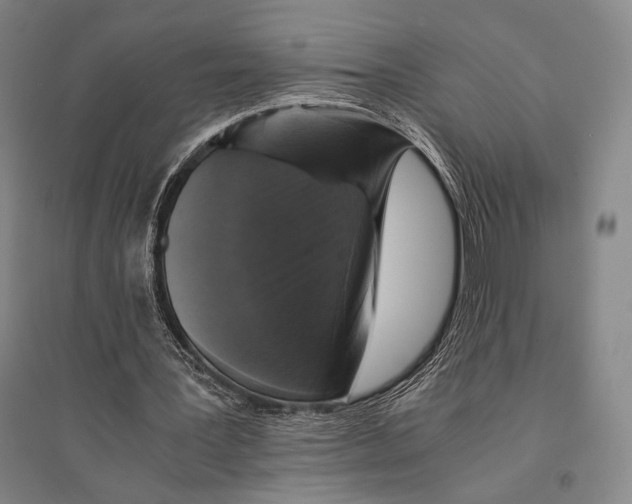 X0000095520387200801111441