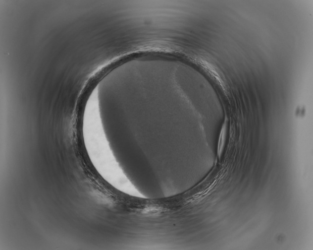 X0000095520388200801111441