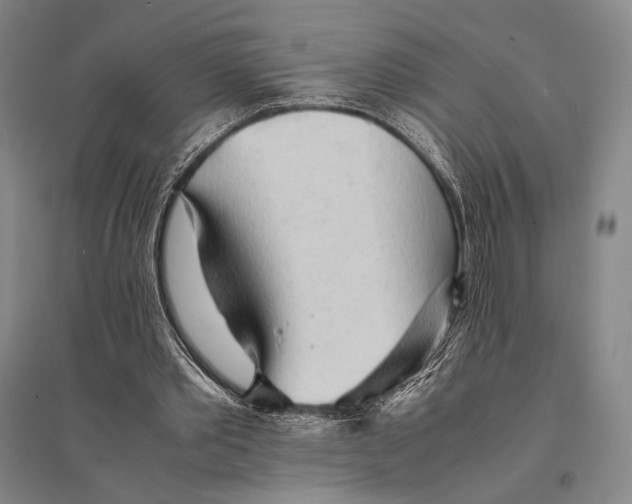 X0000095520389200801111441