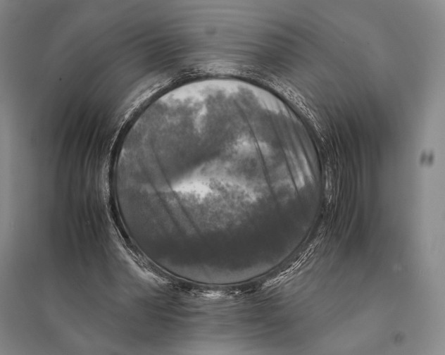 X0000095520390200801111441