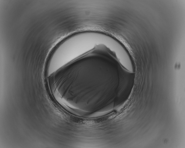 X0000095520391200801111441