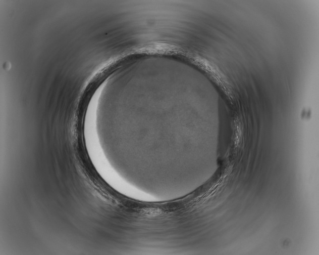 X0000095520392200801111441