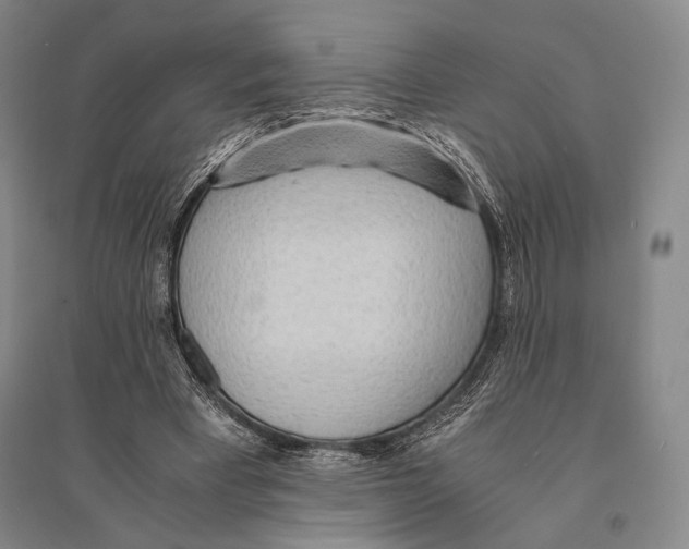 X0000095520393200801111441