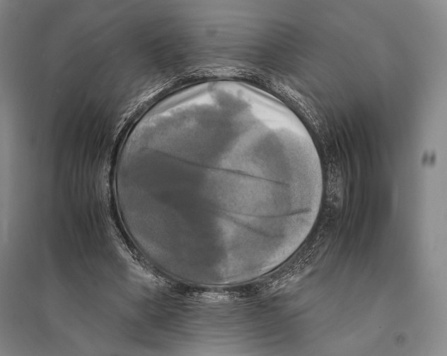 X0000095520394200801111441