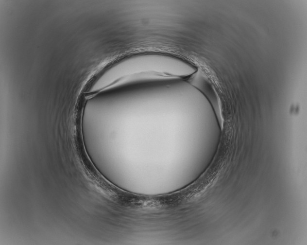 X0000095520395200801111441