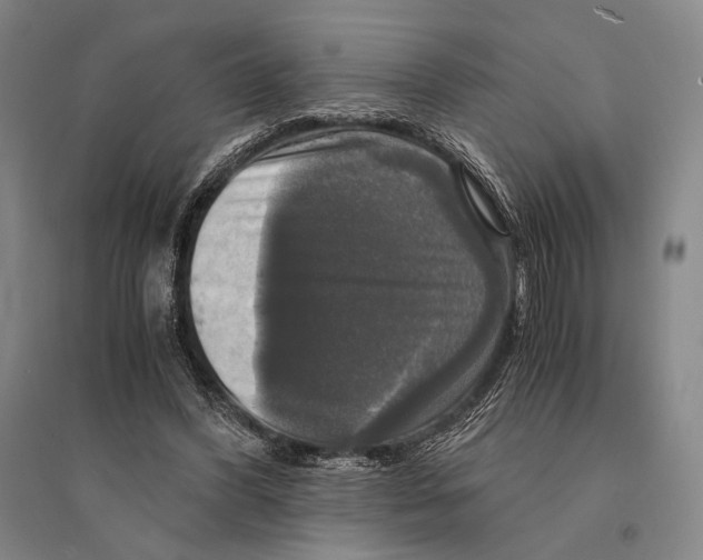 X0000095520396200801111441