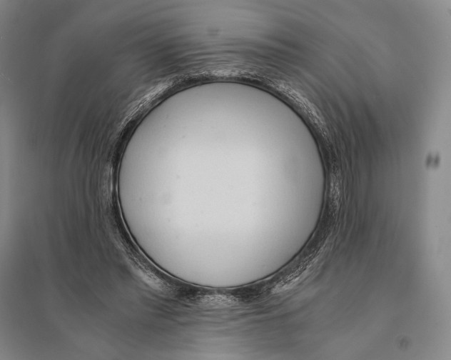 X0000095520397200801111441